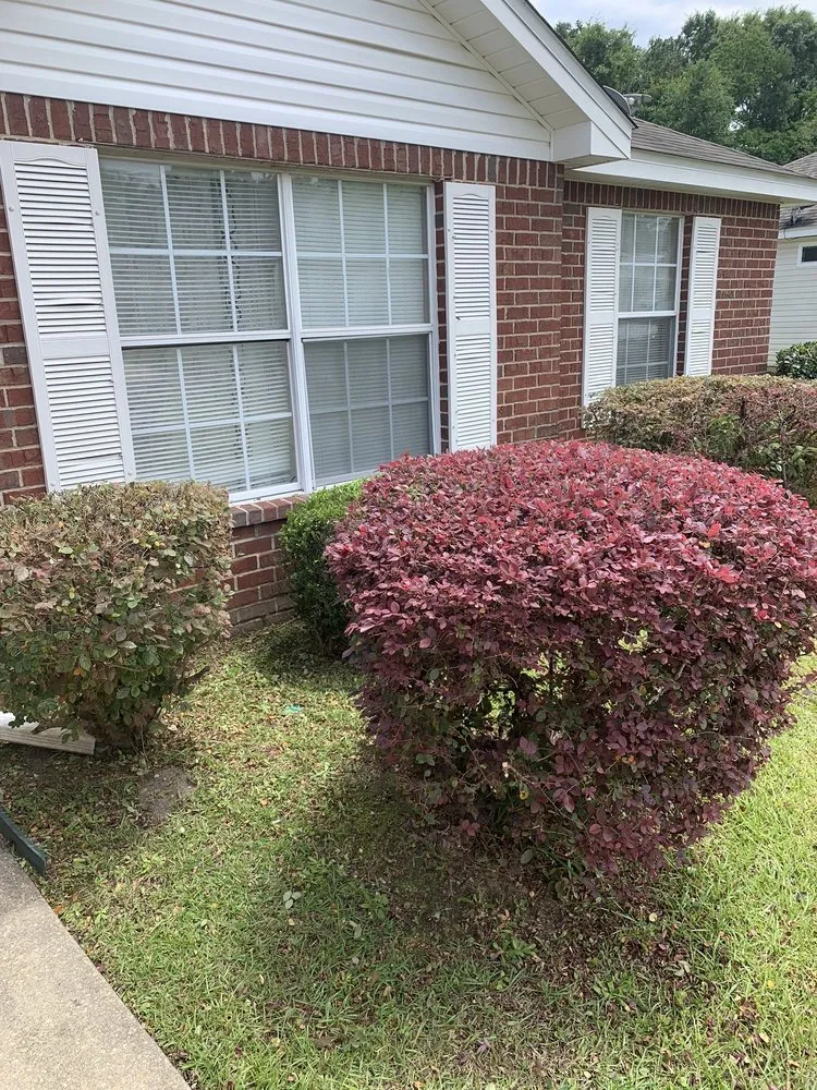 Local garden landscaping for outdoor upgrades across Pensacola, FL - Elite Lawn care 850