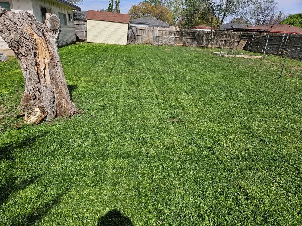 Top-rated landscape installation in Amarillo, TX - Elite Lawn Care