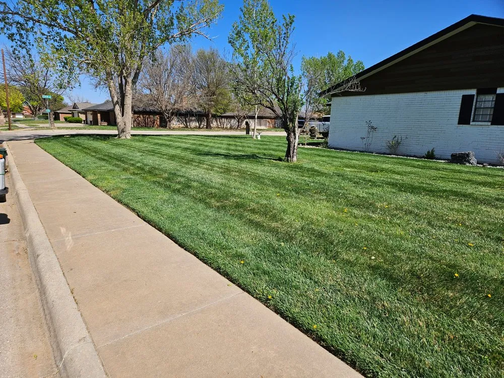 Trusted yard maintenance for year-round maintenance across Amarillo, TX - Elite Lawn Care