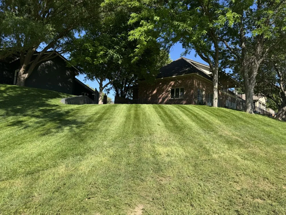 Affordable outdoor landscaping in Amarillo, TX - Elite Lawn Care