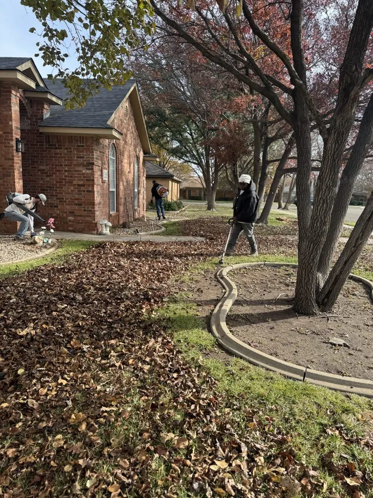 Professional landscape installation for outdoor upgrades across Amarillo, TX - Elite Lawn Care