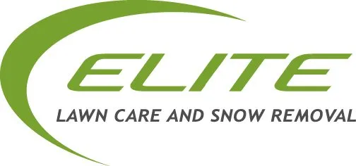 Trusted landscaping services in Saint Paul, MN - Elite Lawn Care And Landscape Design