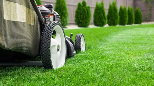 Elite Lawn Care Logo