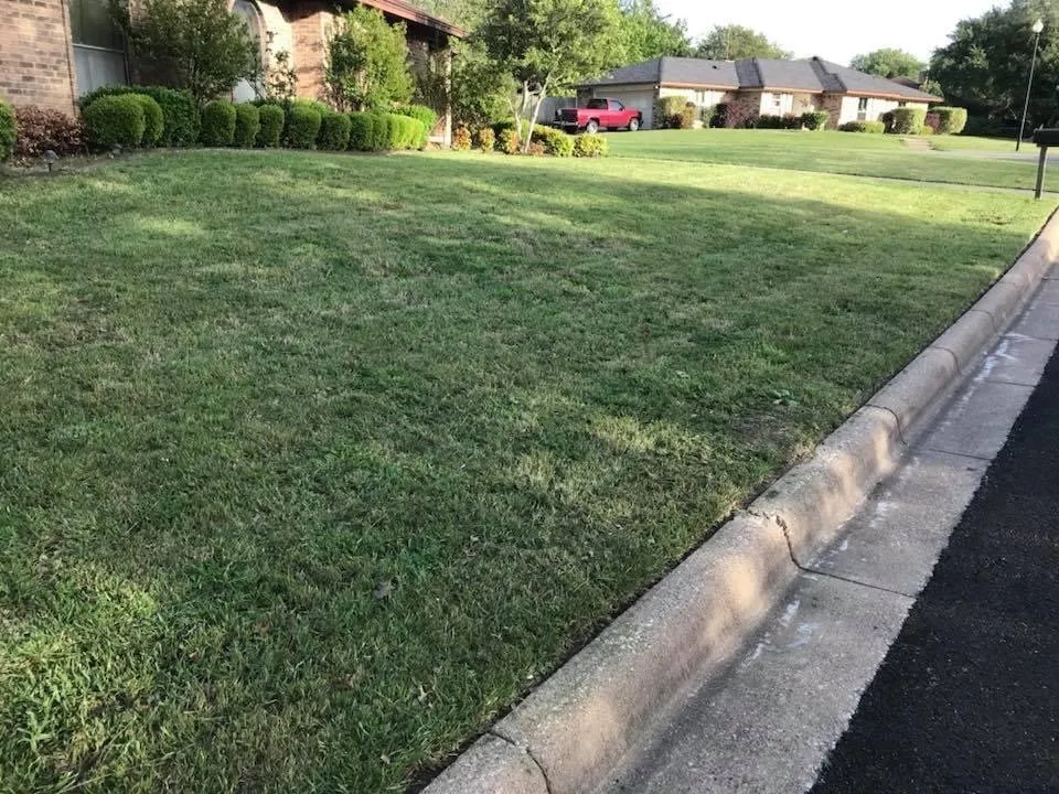 Reliable lawn mowing service in Arlington, TX by Elite Lawn Care
