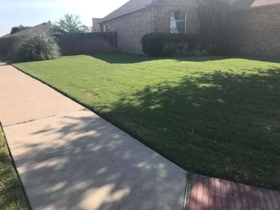 Custom yard maintenance for homes across Arlington, TX - Elite Lawn Care