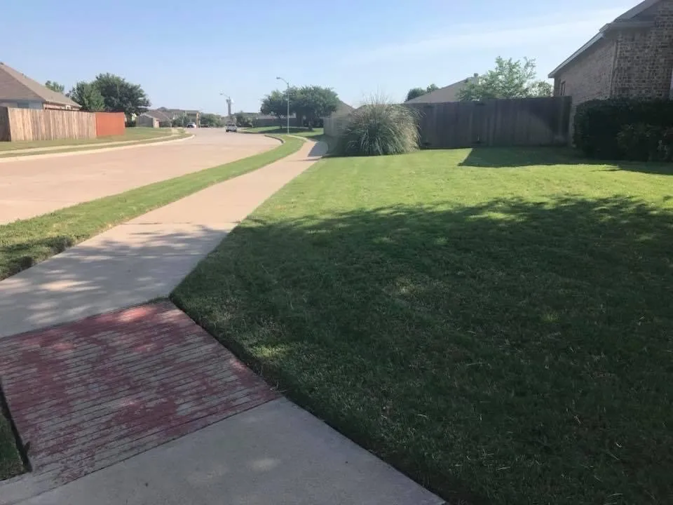 Top-rated outdoor landscaping with custom design in Arlington, TX by Elite Lawn Care
