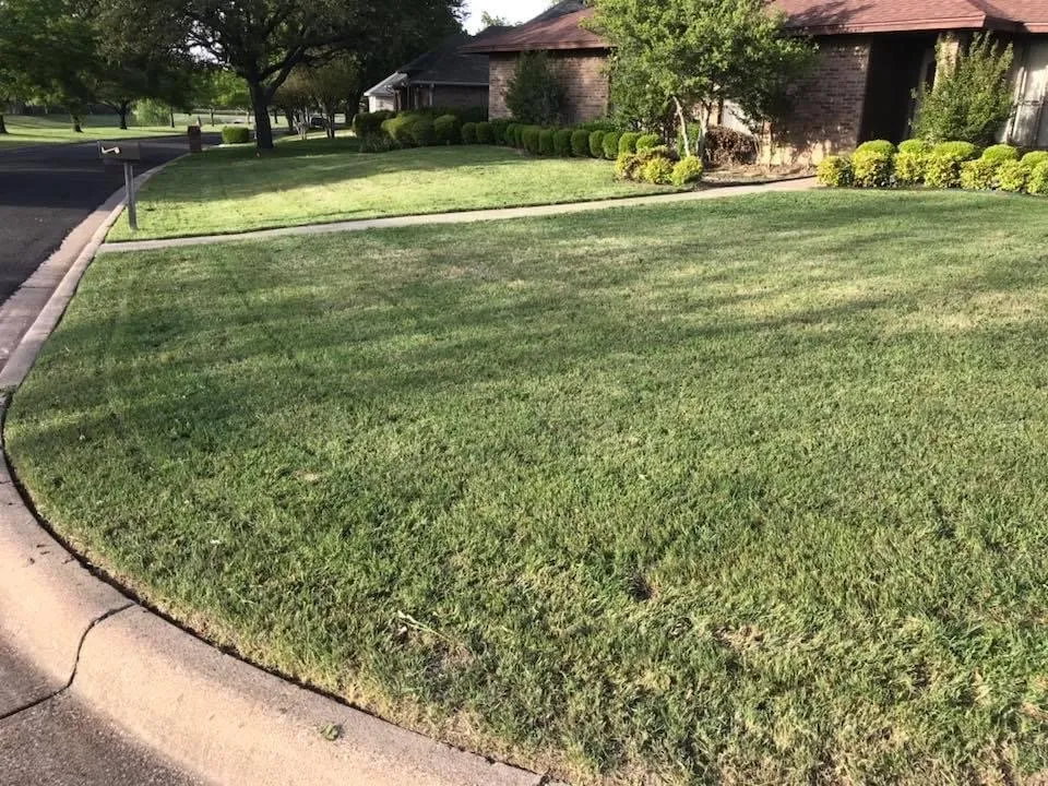 Expert lawn mowing service with custom design across Arlington, TX - Elite Lawn Care