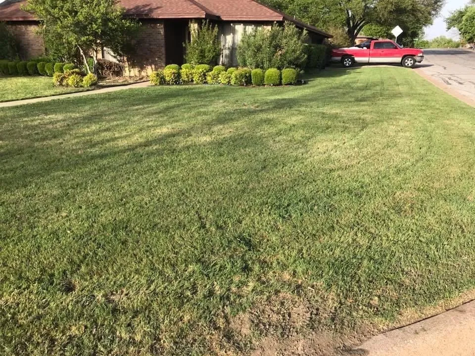 Top-rated lawn mowing service for homes across Arlington, TX - Elite Lawn Care