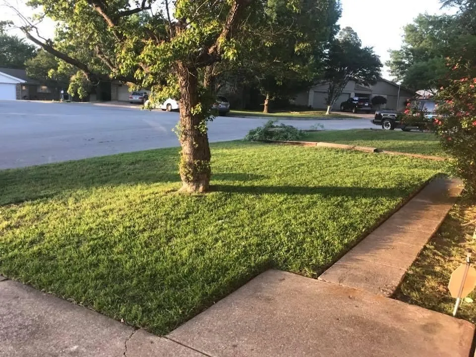 Professional landscaping services in Arlington, TX by Elite Lawn Care