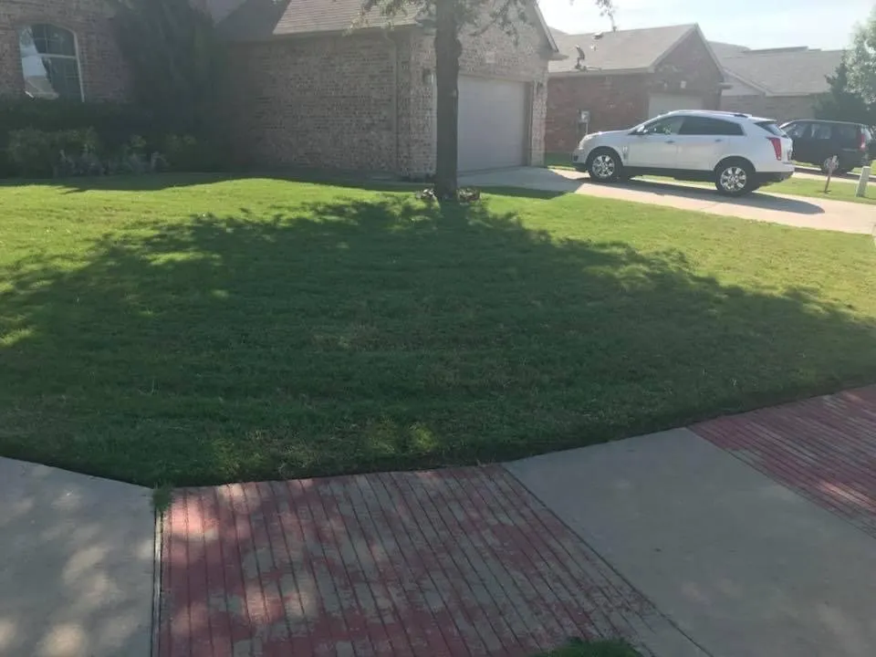 Reliable lawn care service experts serving Arlington, TX - Elite Lawn Care