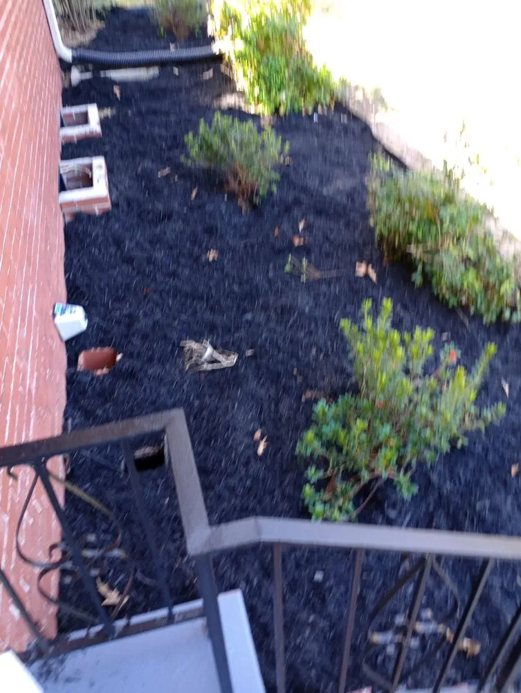 Reliable residential landscaping in Blacksburg, SC - Elite Lawn Care