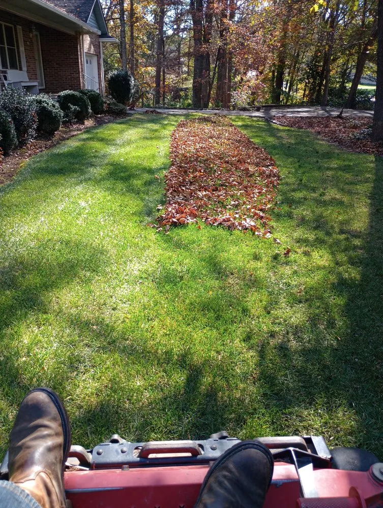 Trusted residential landscaping for year-round maintenance across Blacksburg, SC - Elite Lawn Care