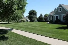 Professional outdoor landscaping experts serving Bossier City, LA - Elite lawn care