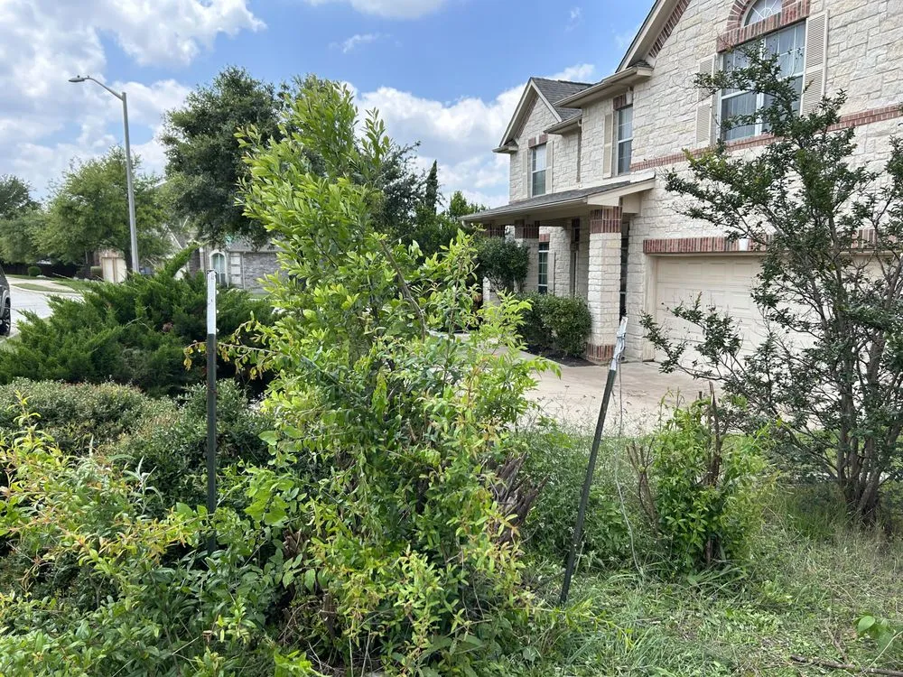 Professional outdoor landscaping in Cedar Park, TX - Elite Lawn Care