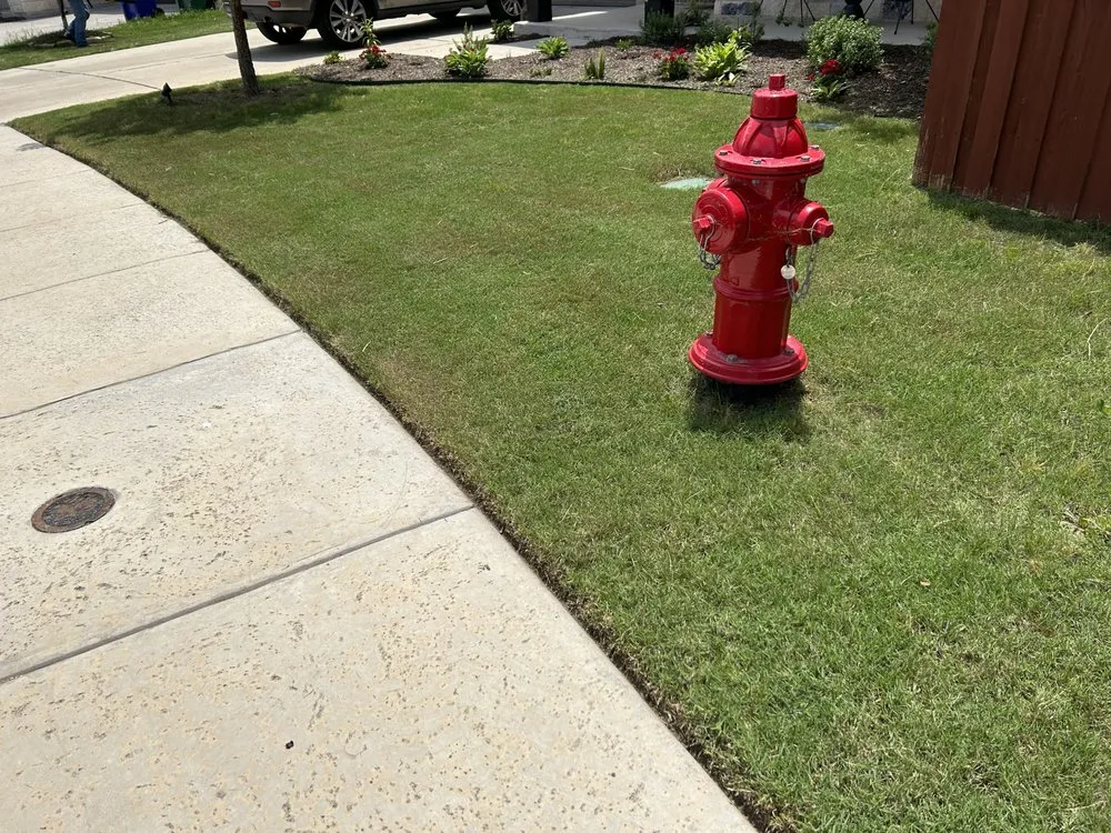 Professional yard maintenance for beautiful yards across Cedar Park, TX - Elite Lawn Care