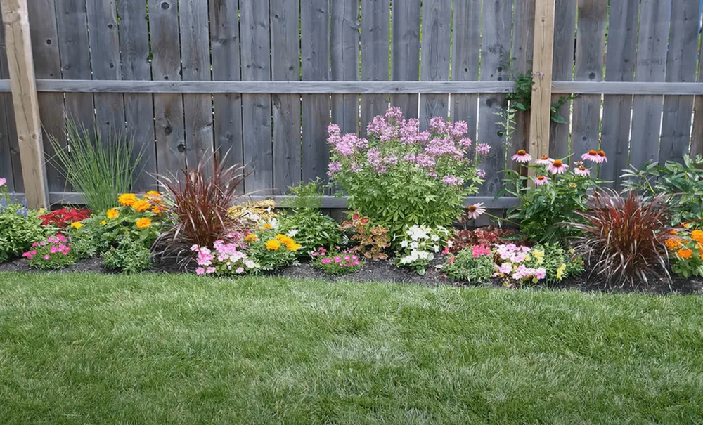 Expert lawn mowing service for outdoor upgrades across Cerritos, CA - Elite Lawn Care Cerritos