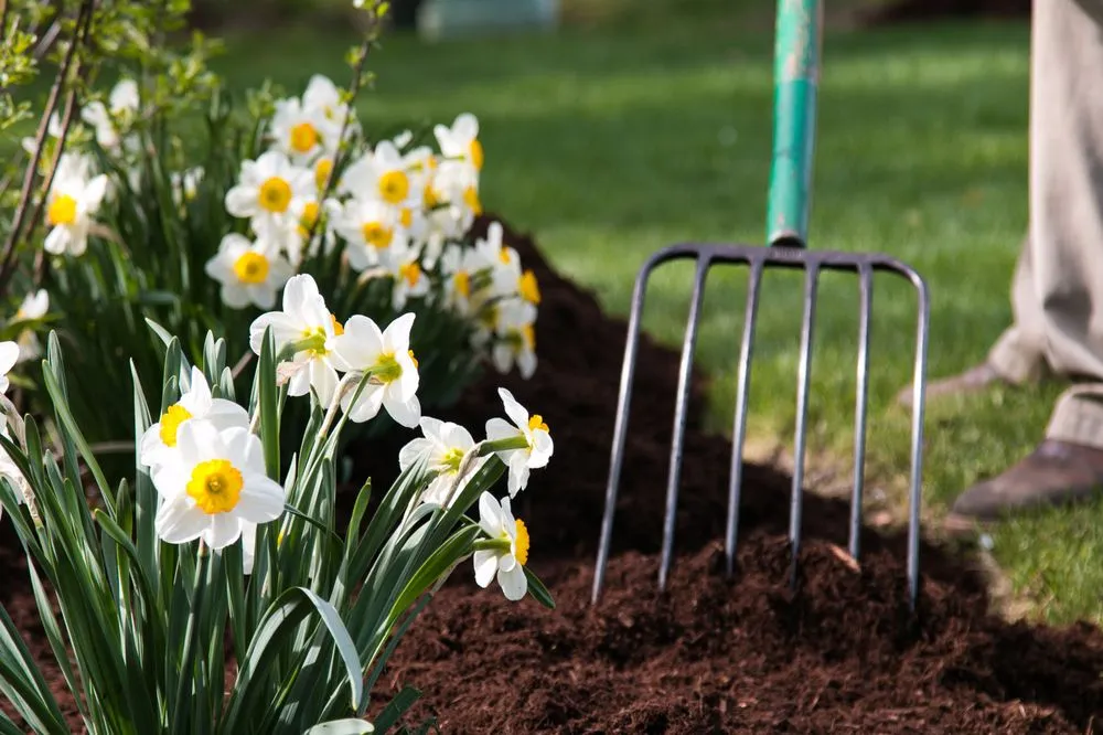 Professional landscape design in Crystal Lake, IL - Elite Lawn Care