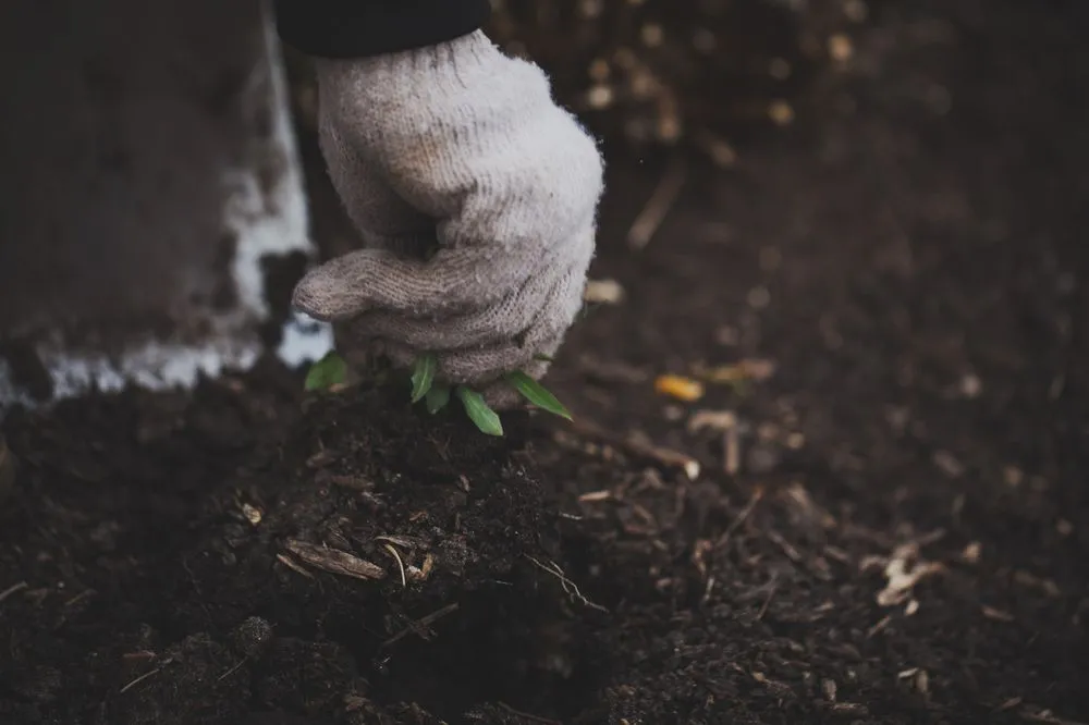 Custom lawn care service in Crystal Lake, IL by Elite Lawn Care