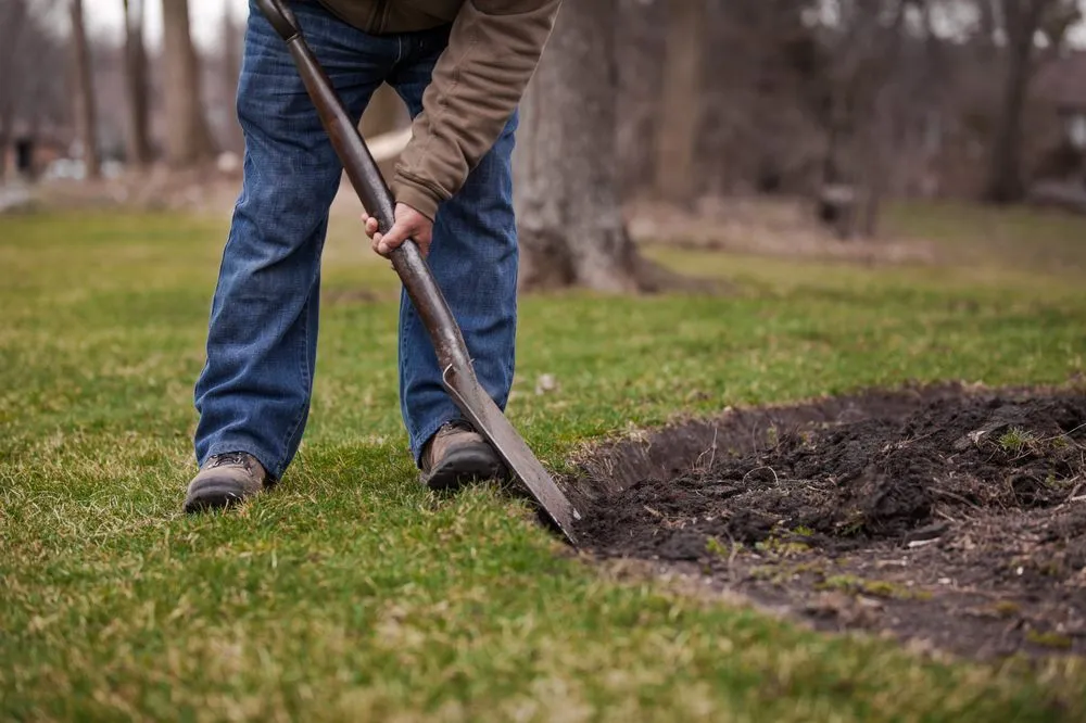 Top-rated yard cleanup service in Crystal Lake, IL by Elite Lawn Care