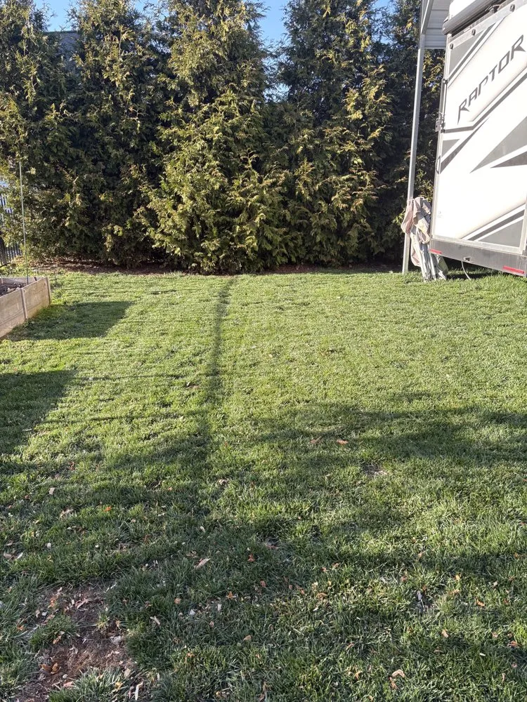 Reliable residential landscaping in Gibsonville, NC by Elite Lawn Care