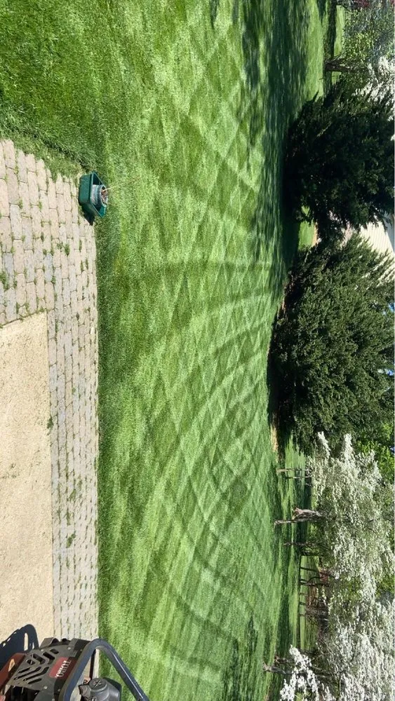 Top-rated lawn mowing service in Greeneville, TN - Elite Lawn Care