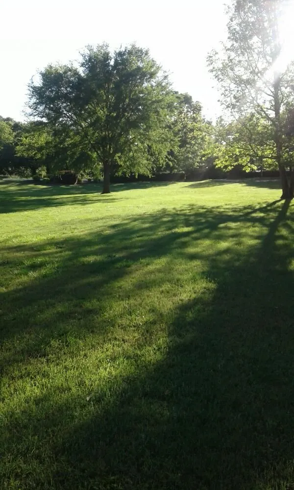 Trusted landscaping services for beautiful yards across Hartwell, GA - Elite Lawn Care