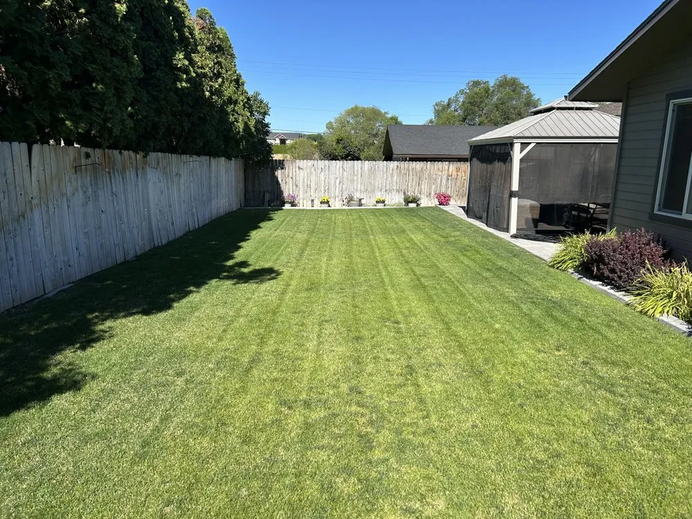 Expert landscaping services for year-round maintenance across Issaquah, WA - Elite Lawn Care