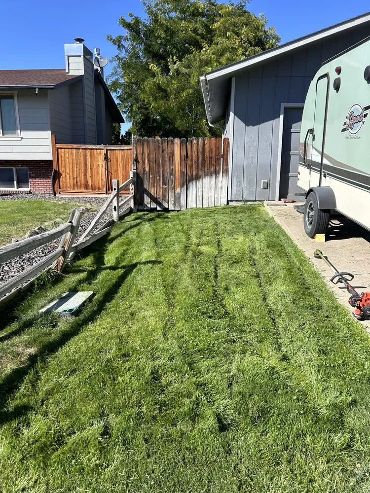 Local yard cleanup service for year-round maintenance in Issaquah, WA by Elite Lawn Care