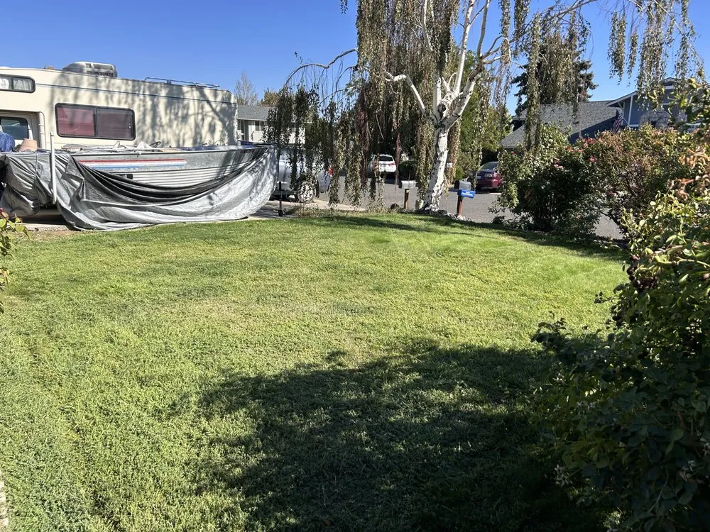 Trusted yard cleanup service in Issaquah, WA by Elite Lawn Care