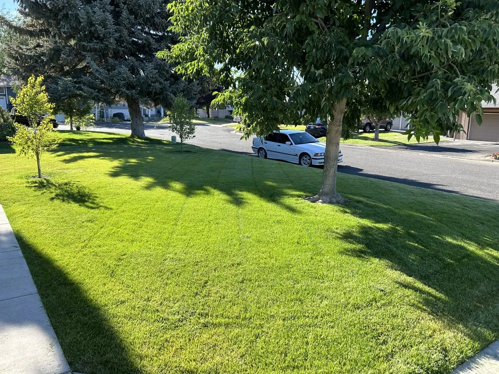 Local outdoor landscaping experts serving Issaquah, WA - Elite Lawn Care