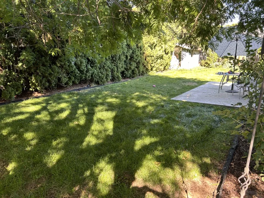 Custom yard maintenance for beautiful yards across Issaquah, WA - Elite Lawn Care
