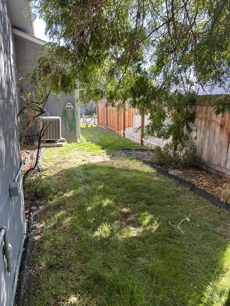 Local residential landscaping for homes in Issaquah, WA by Elite Lawn Care