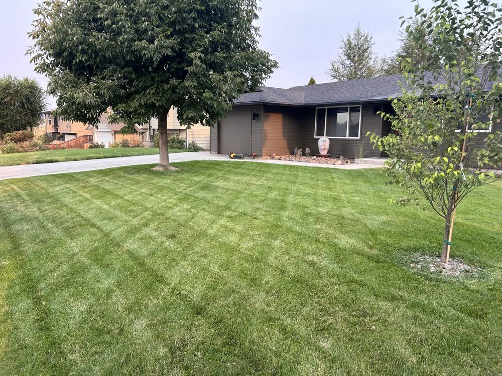 Affordable yard cleanup service for outdoor upgrades in Issaquah, WA by Elite Lawn Care
