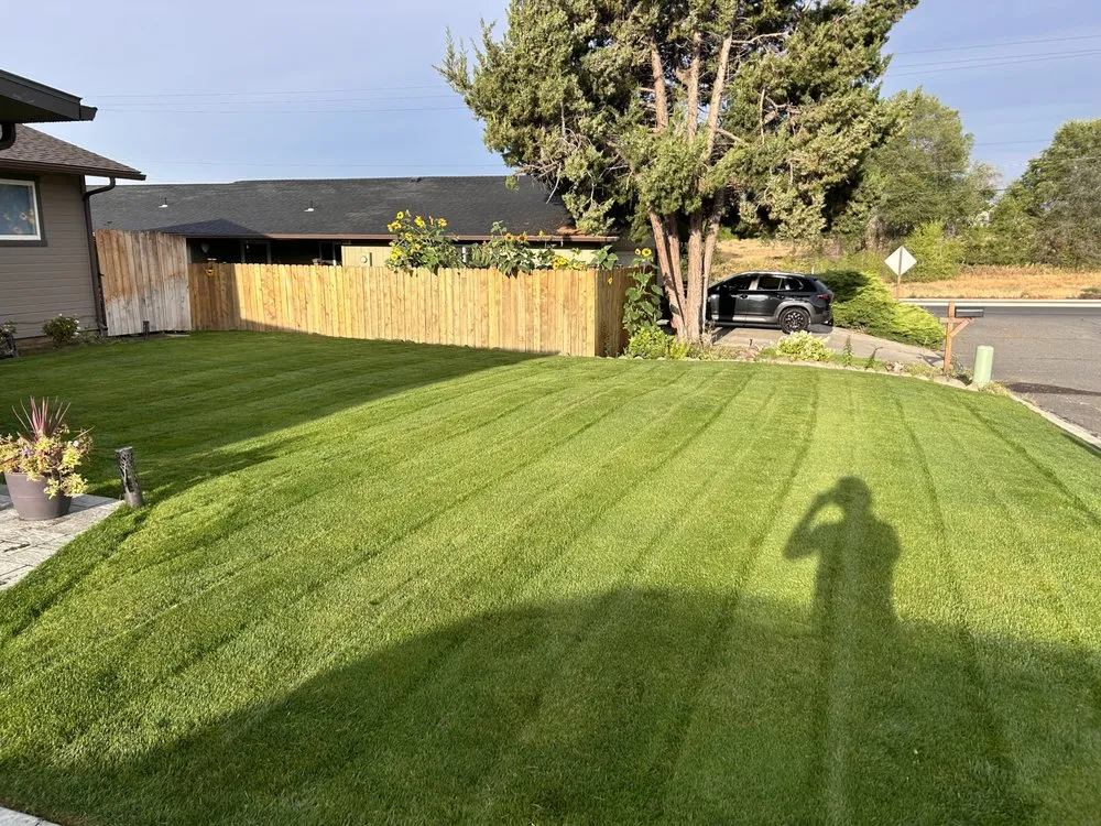Affordable landscaping services for beautiful yards across Issaquah, WA - Elite Lawn Care