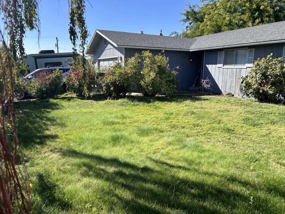 Local landscape installation for year-round maintenance across Issaquah, WA - Elite Lawn Care