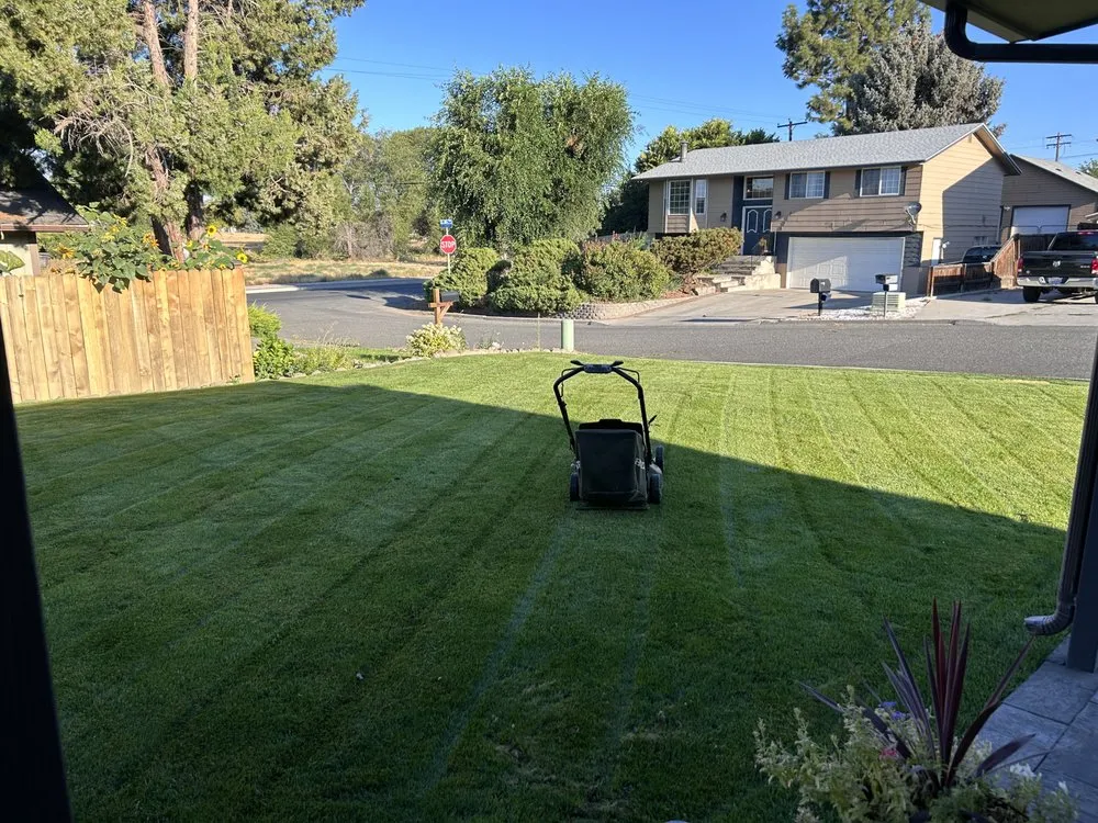 Trusted landscape design experts serving Issaquah, WA - Elite Lawn Care