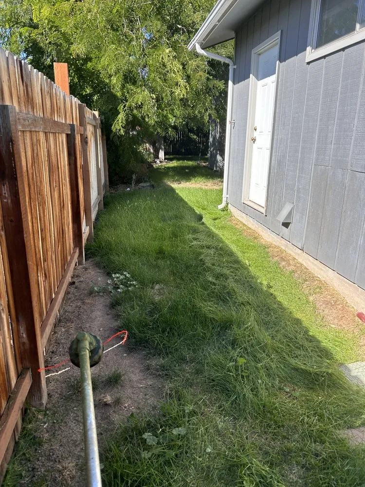 Top-rated yard cleanup service near you in Issaquah, WA by Elite Lawn Care