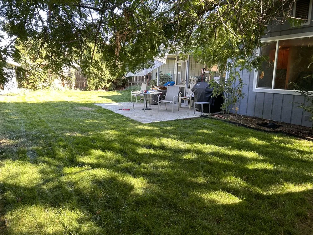 Local landscape design in Issaquah, WA - Elite Lawn Care