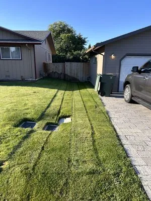 Elite Lawn Care Logo