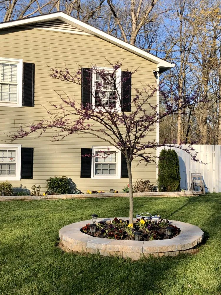 Top-rated lawn care service experts serving Laurel, MD - Elite Lawn Care