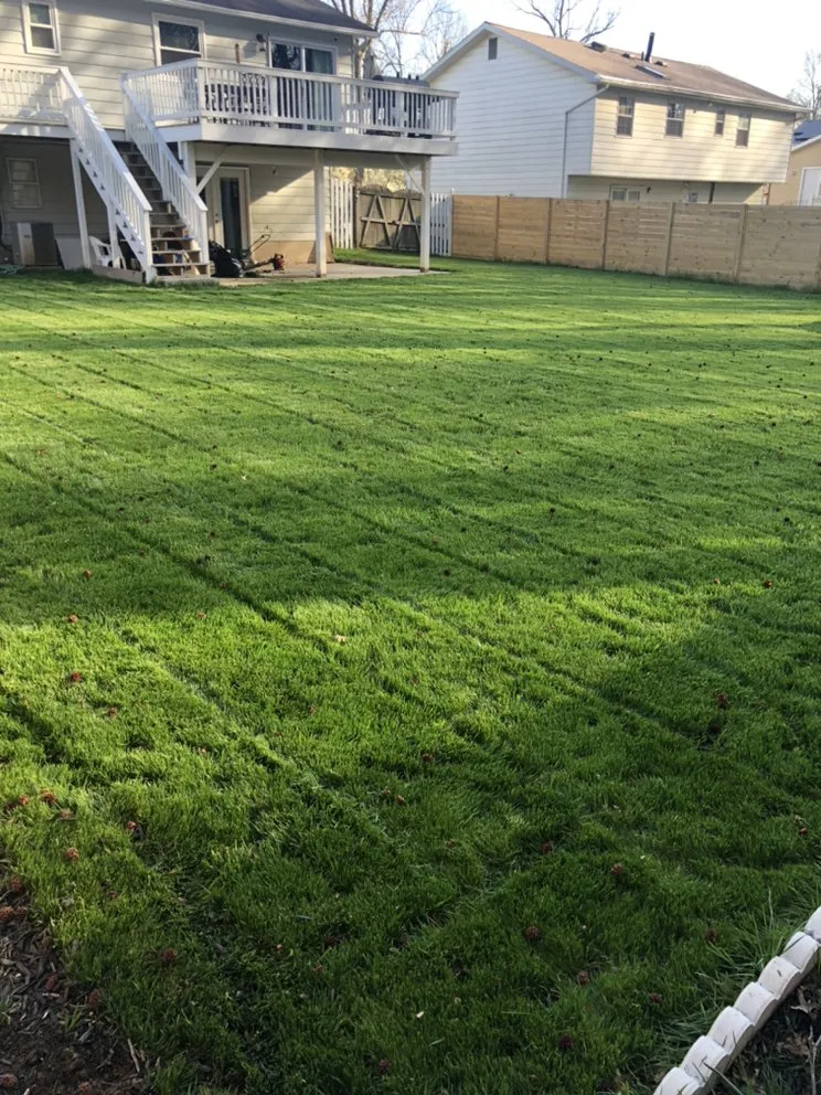 Local residential landscaping for year-round maintenance across Laurel, MD - Elite Lawn Care