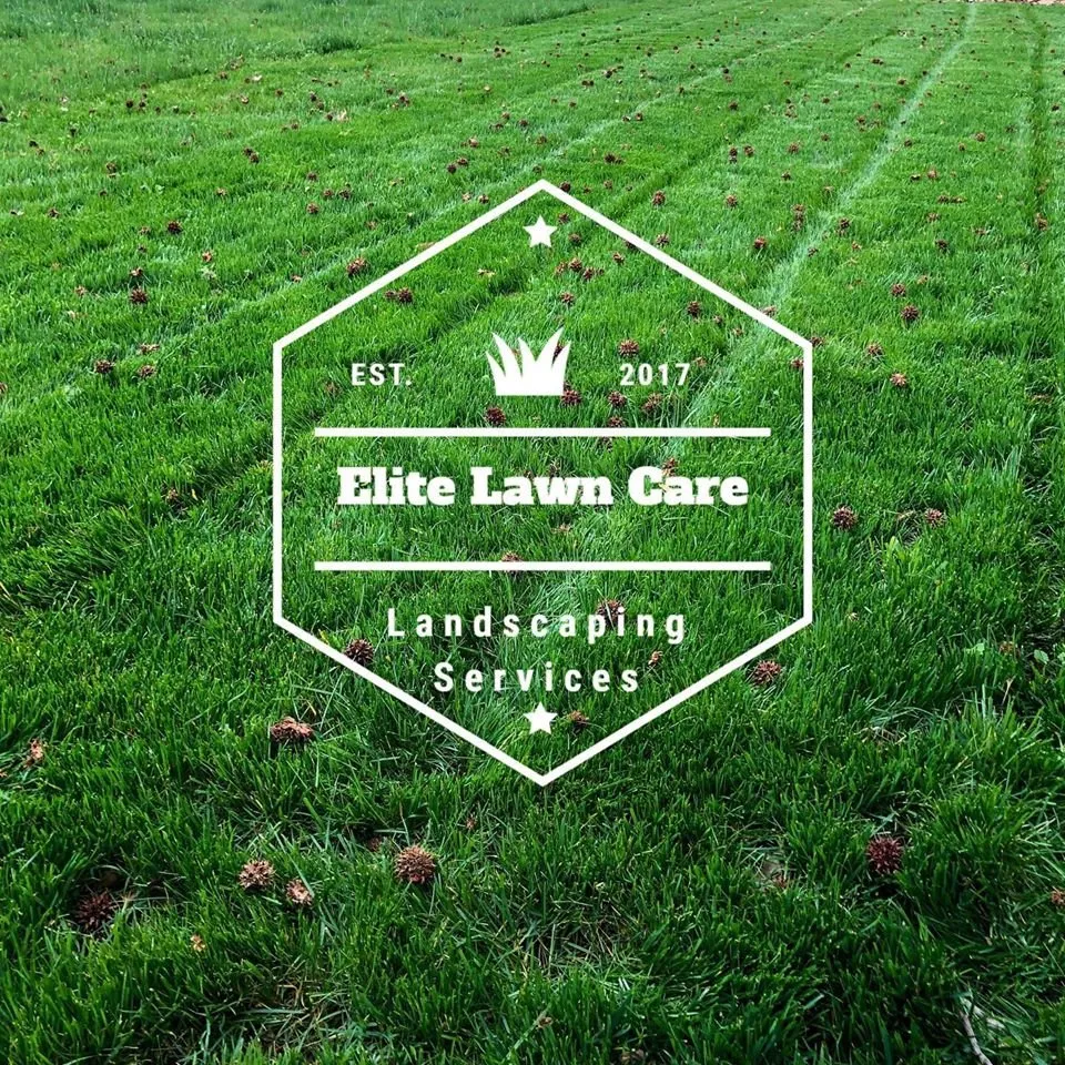 Custom yard maintenance in Laurel, MD - Elite Lawn Care