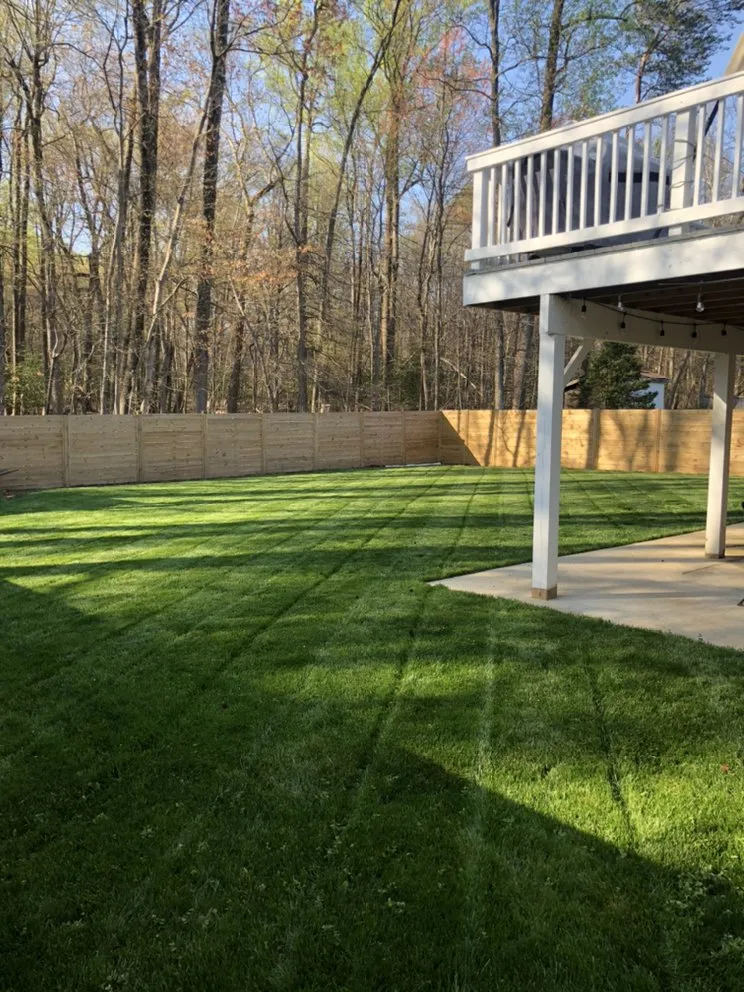 Local yard cleanup service for beautiful yards in Laurel, MD by Elite Lawn Care