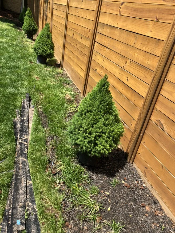 Local landscaping services for outdoor upgrades in Laurel, MD by Elite Lawn Care