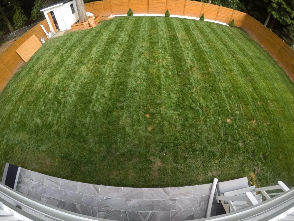 Expert lawn care service for homes across Laurel, MD - Elite Lawn Care