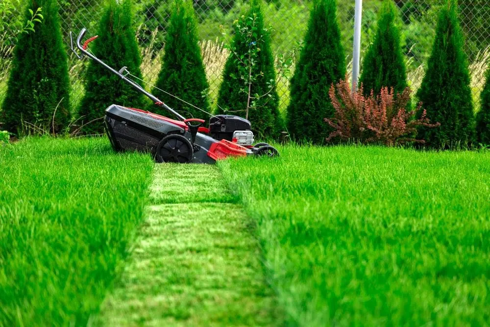 Professional landscaping services in Leavenworth, KS by Elite Lawn Care