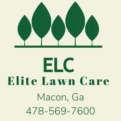 Affordable landscape design experts serving Macon, GA - Elite Lawn Care