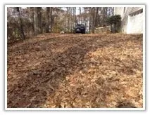 Affordable landscape design experts serving Macon, GA - Elite Lawn Care