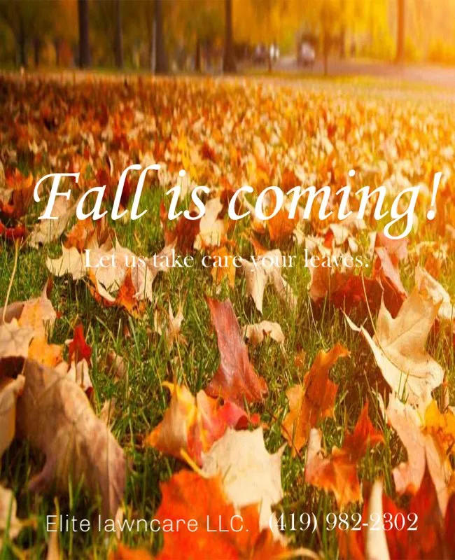 Reliable outdoor landscaping for beautiful yards in Mansfield, OH by Elite Lawn Care