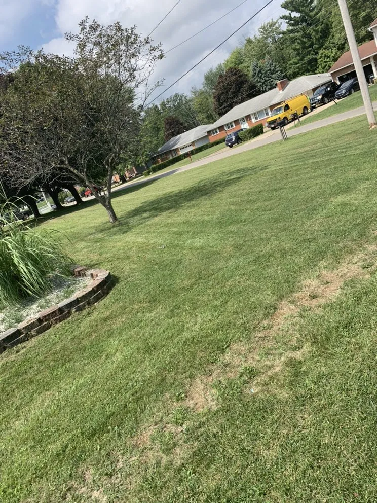 Reliable outdoor landscaping experts serving Mansfield, OH - Elite Lawn Care